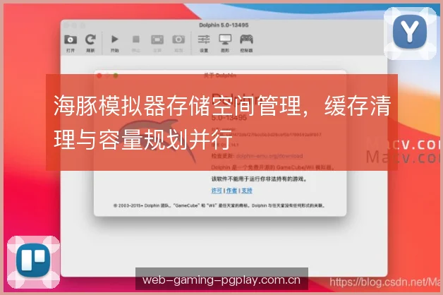 海豚模拟器存储空间管理，缓存清理与容量规划并行